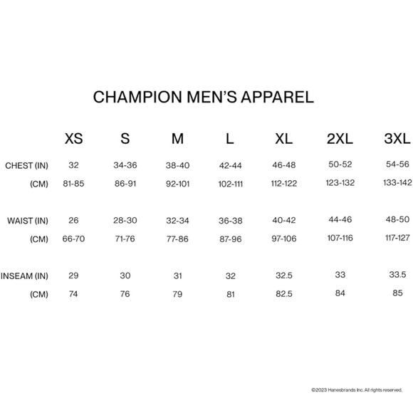 CHAMPION NEW Men's Powerblend Script Logo Hoodie Sweatshirt Grey Medium - Picture 6 of 8